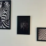 X Oasis Central Studio